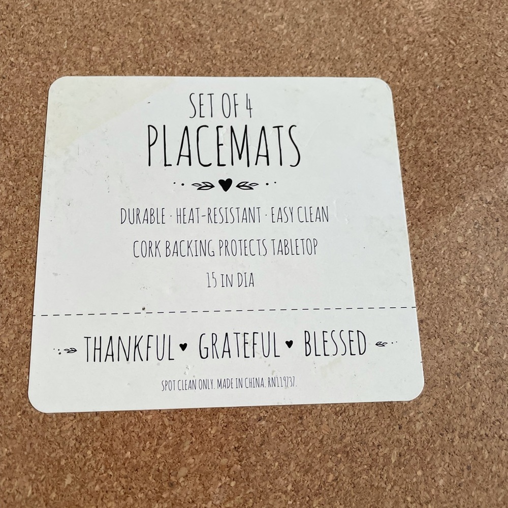 Pumpkin themed placemats set of 4 - Picture 4 of 4